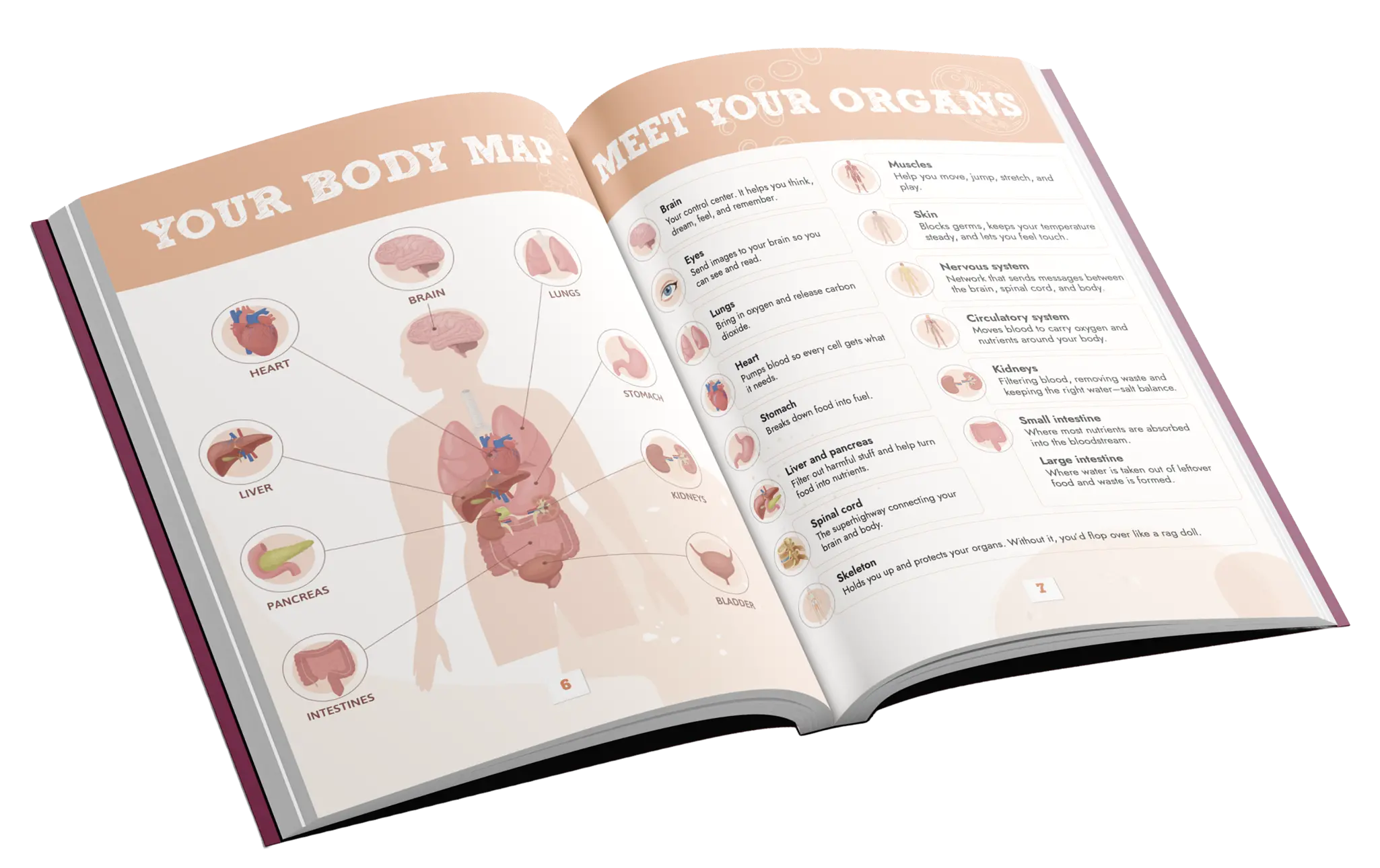 Built for visual learners